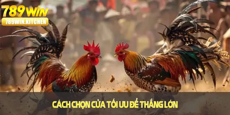 Tìm hiểu cách chọn cửa tối ưu để thắng lớn cùng đá gà Thomo